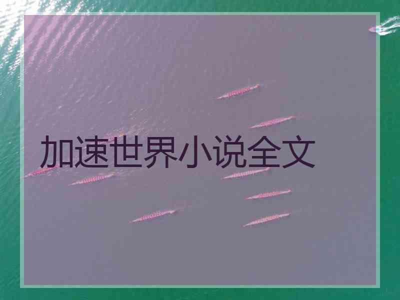 加速世界小说全文