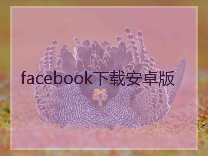 facebook下载安卓版