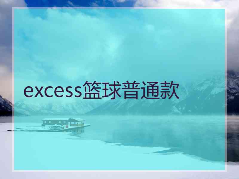 excess篮球普通款