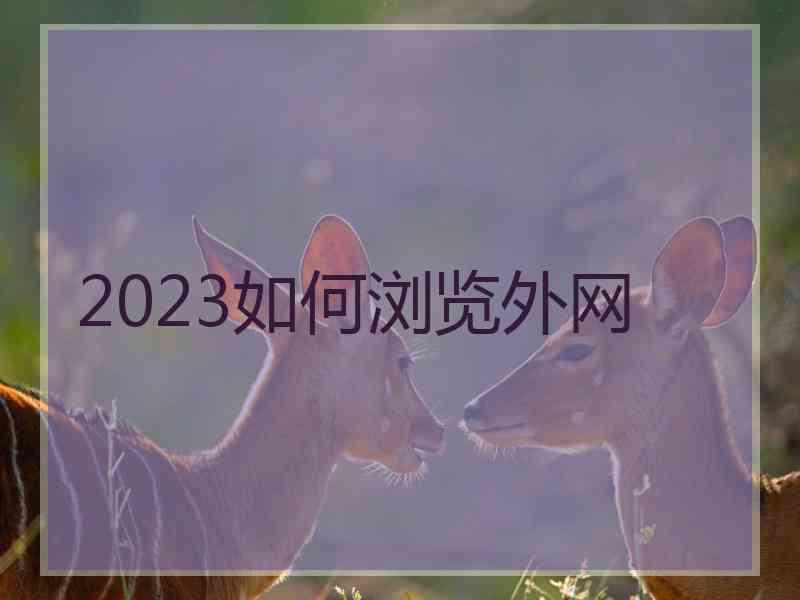 2023如何浏览外网