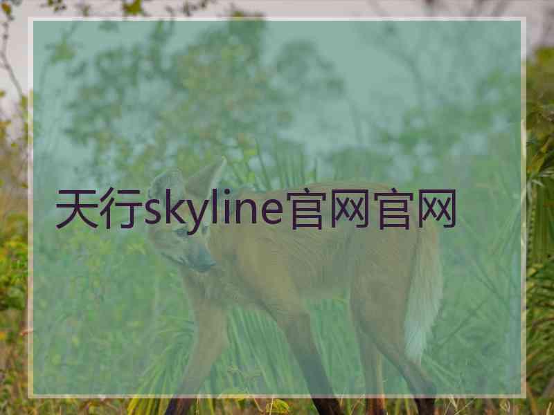 天行skyline官网官网