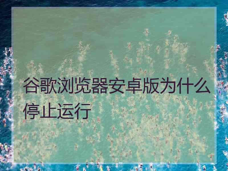 谷歌浏览器安卓版为什么停止运行