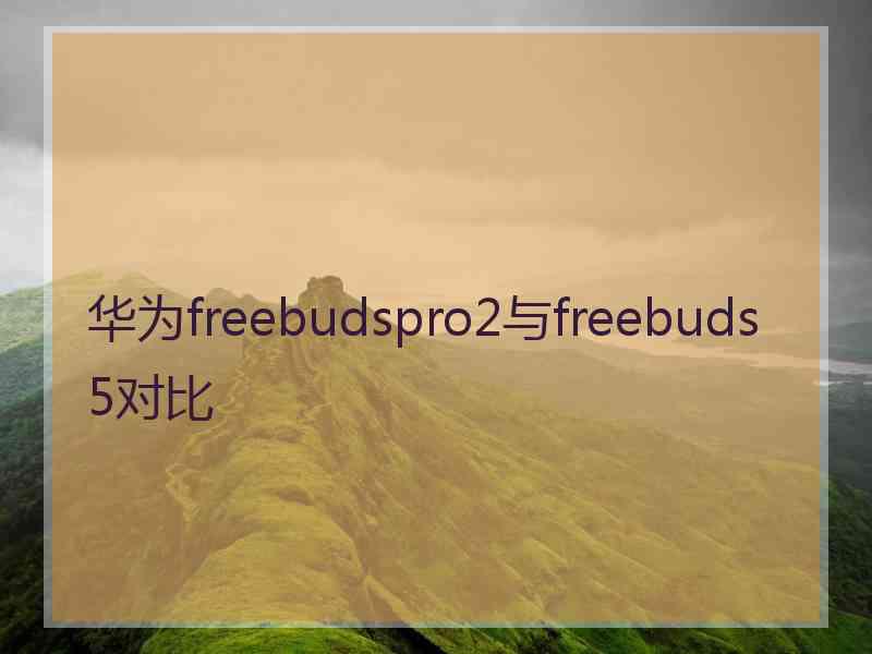 华为freebudspro2与freebuds5对比