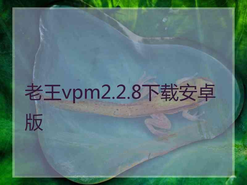 老王vpm2.2.8下载安卓版