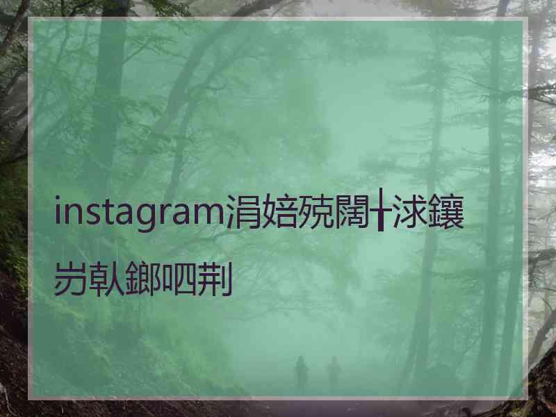 instagram涓婄殑闊╁浗鑲岃倝鎯呬荆