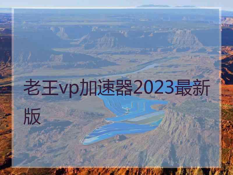 老王vp加速器2023最新版