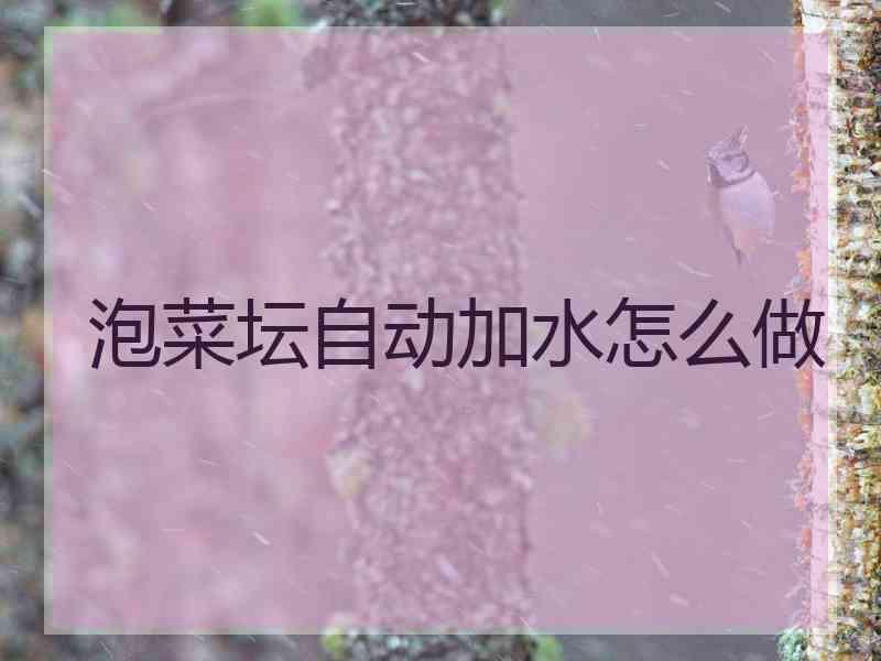 泡菜坛自动加水怎么做