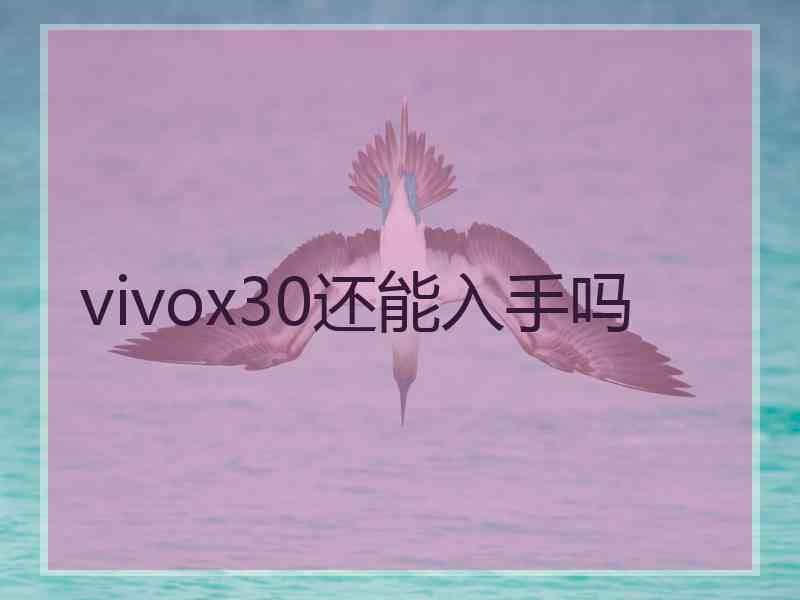 vivox30还能入手吗