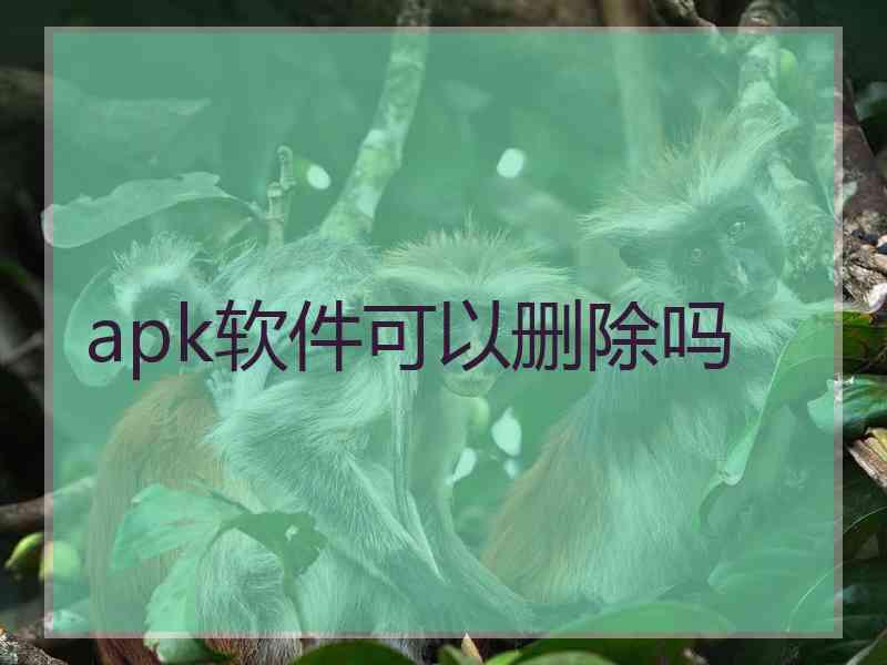 apk软件可以删除吗