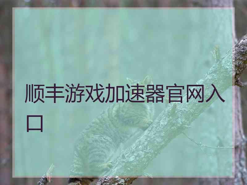 顺丰游戏加速器官网入口