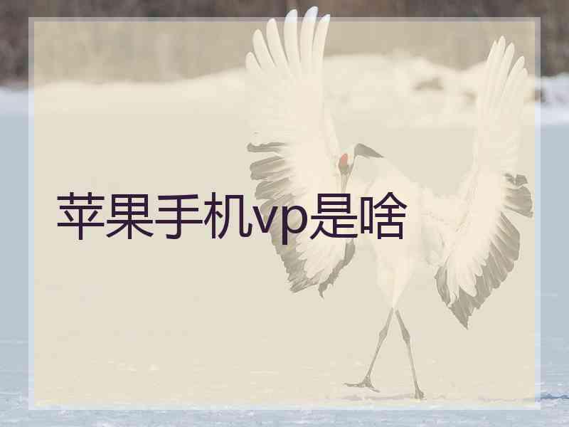 苹果手机vp是啥