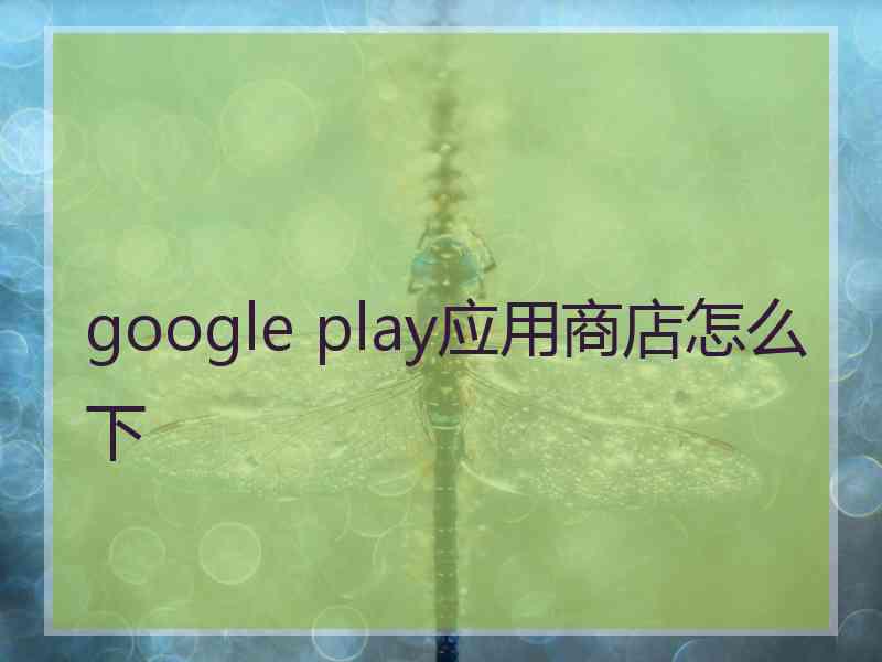 google play应用商店怎么下