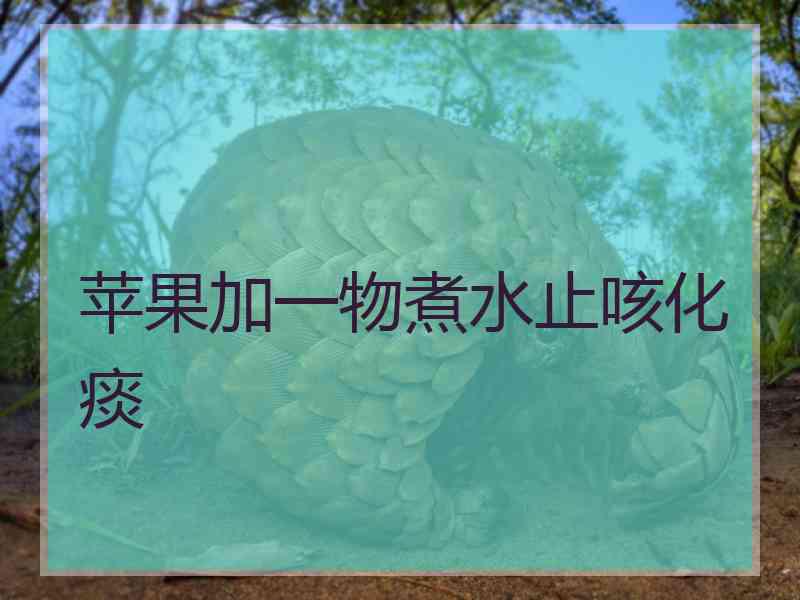 苹果加一物煮水止咳化痰