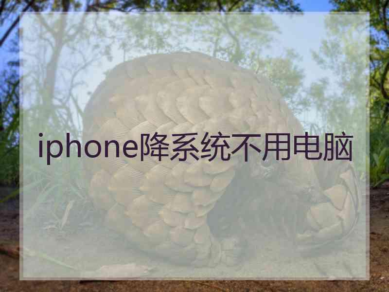 iphone降系统不用电脑