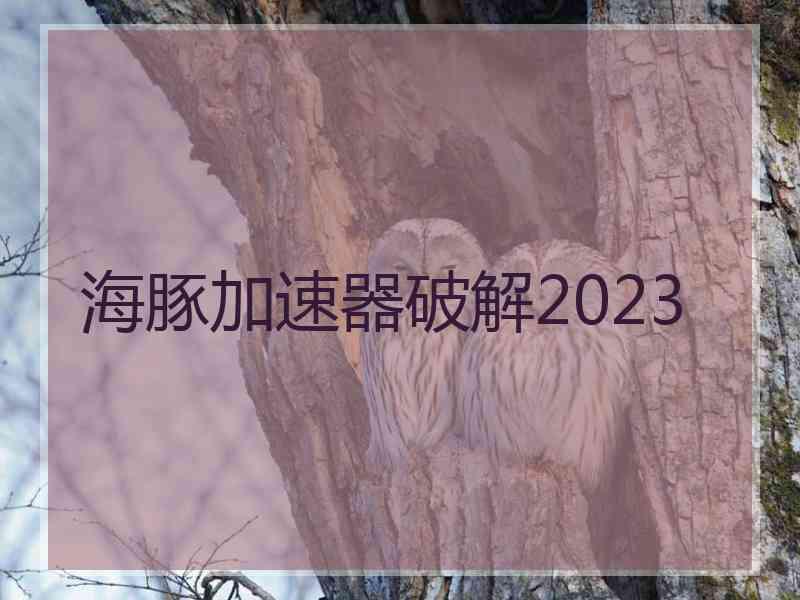 海豚加速器破解2023