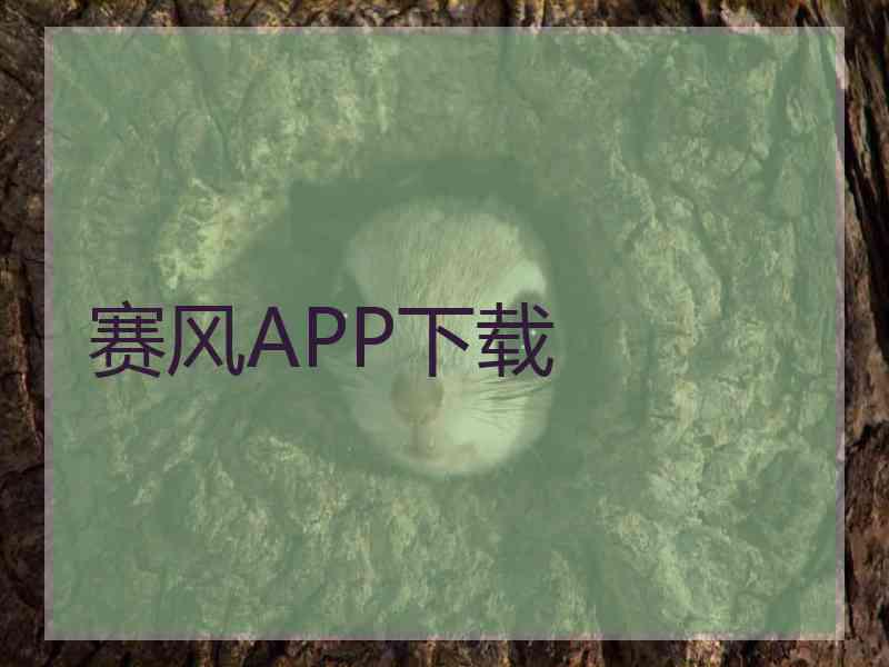 赛风APP下载