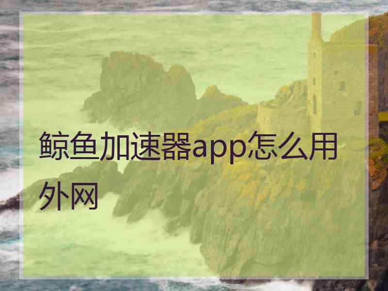 鲸鱼加速器app怎么用外网