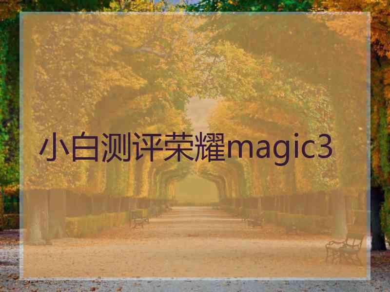 小白测评荣耀magic3