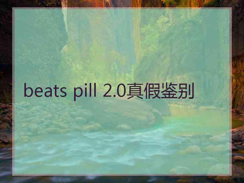 beats pill 2.0真假鉴别