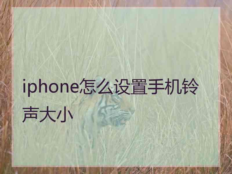 iphone怎么设置手机铃声大小