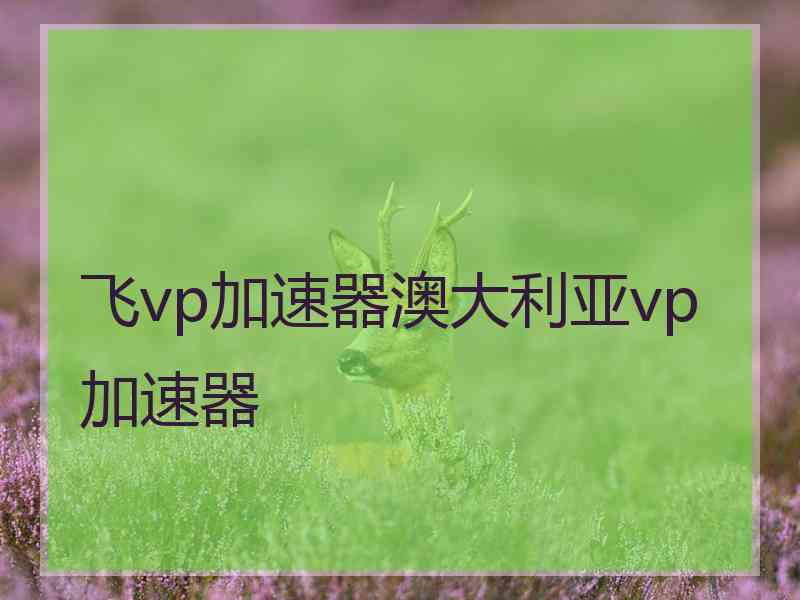 飞vp加速器澳大利亚vp加速器