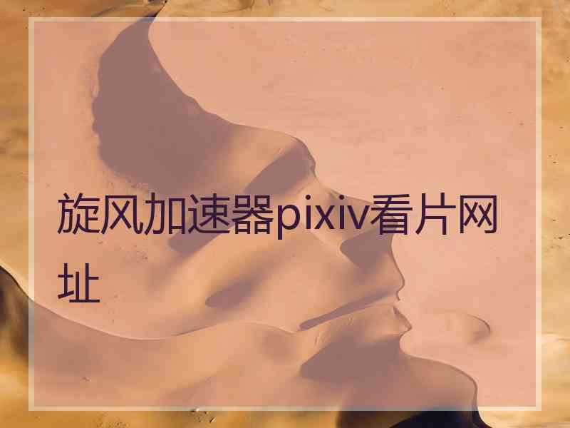 旋风加速器pixiv看片网址