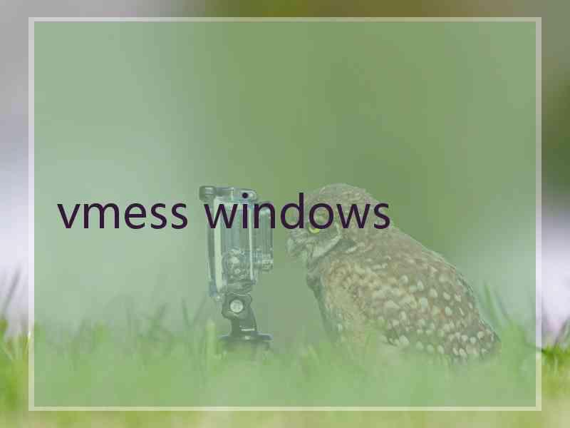 vmess windows