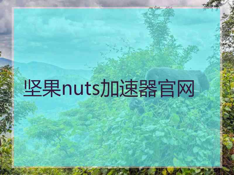 坚果nuts加速器官网