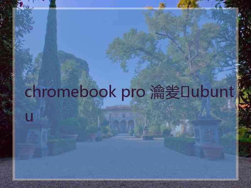 chromebook pro 瀹夎ubuntu