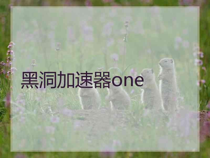 黑洞加速器one