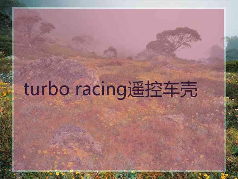 turbo racing遥控车壳