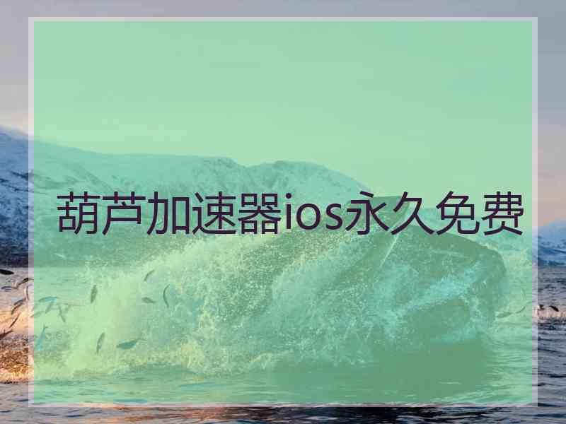 葫芦加速器ios永久免费