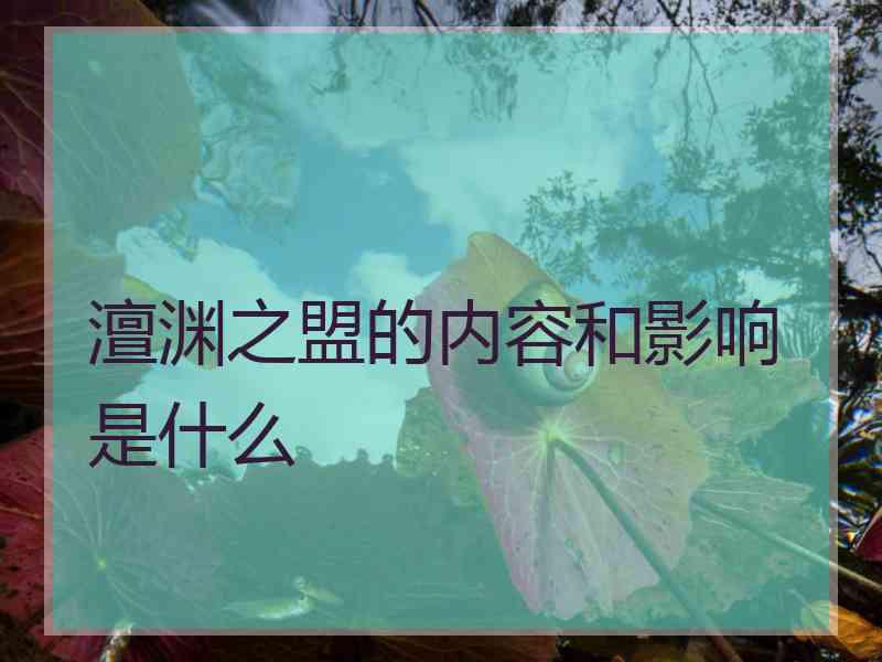 澶渊之盟的内容和影响是什么