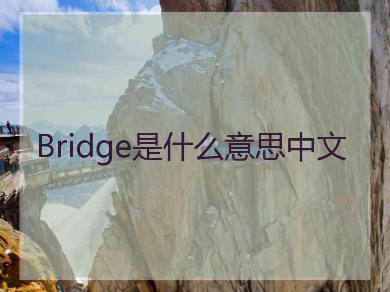 Bridge是什么意思中文