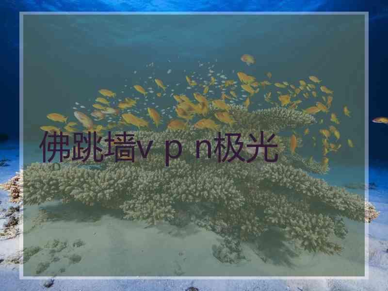 佛跳墙v p n极光