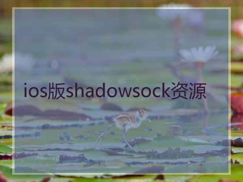 ios版shadowsock资源