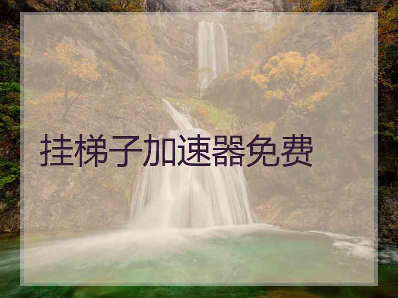 挂梯子加速器免费