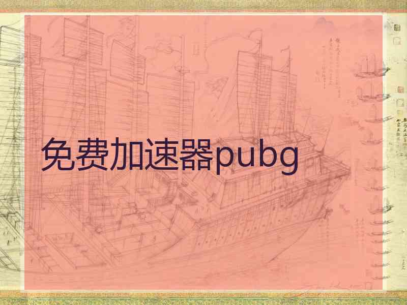 免费加速器pubg