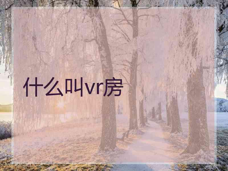 什么叫vr房