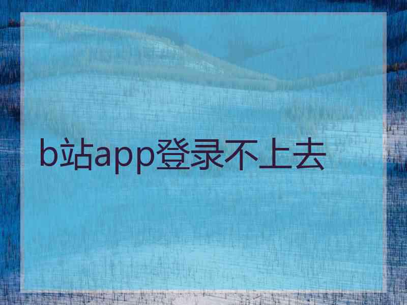 b站app登录不上去