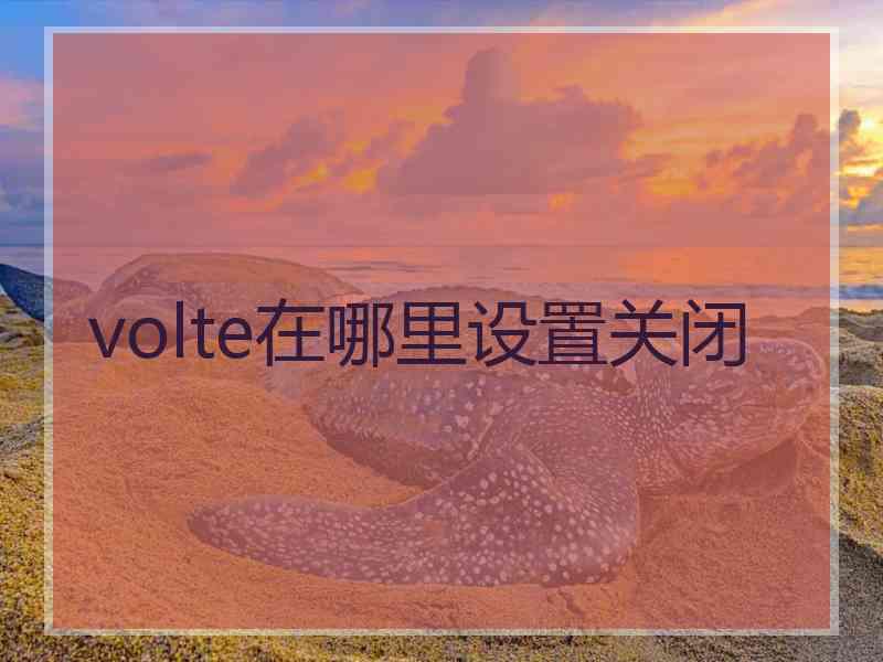 volte在哪里设置关闭