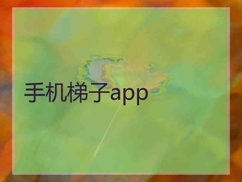 手机梯子app