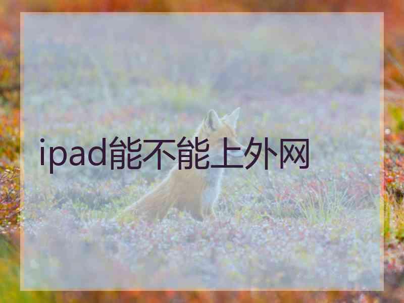 ipad能不能上外网