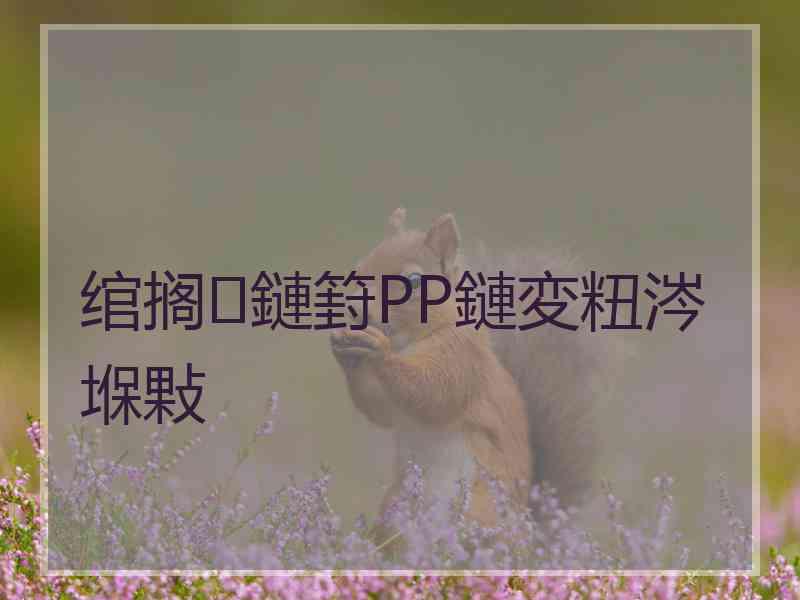 绾搁鏈篈PP鏈変粈涔堢敤