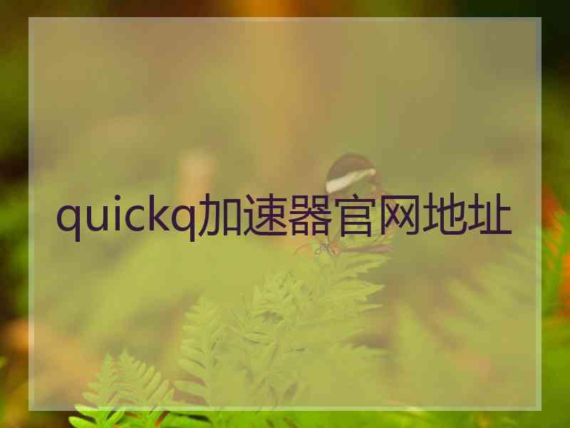 quickq加速器官网地址