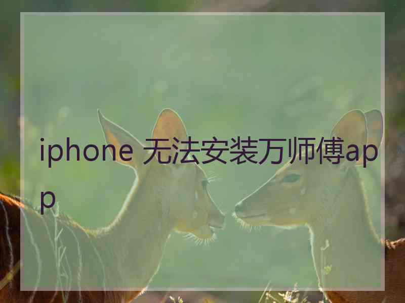 iphone 无法安装万师傅app