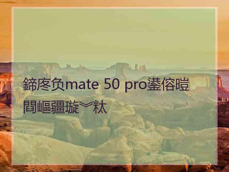 鍗庝负mate 50 pro鍙傛暟閰嶇疆璇︾粏