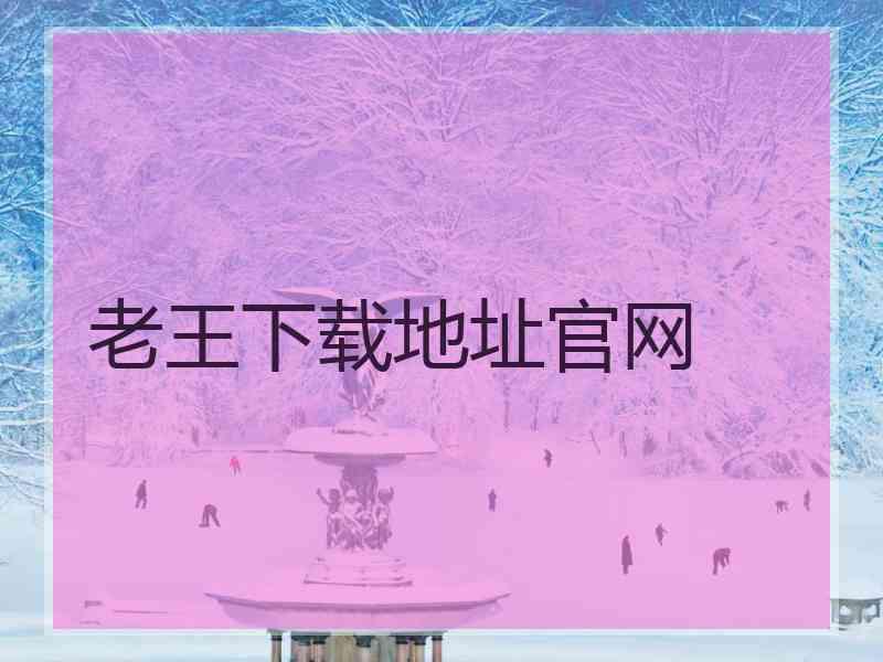 老王下载地址官网