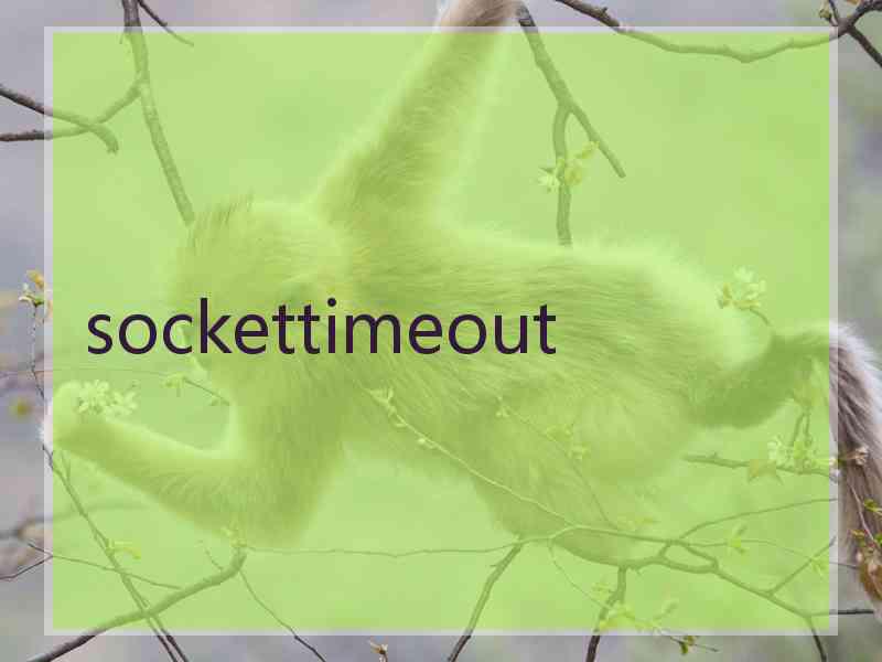 sockettimeout