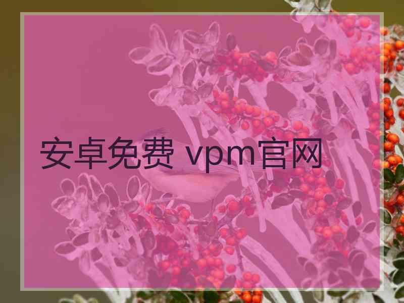 安卓免费 vpm官网